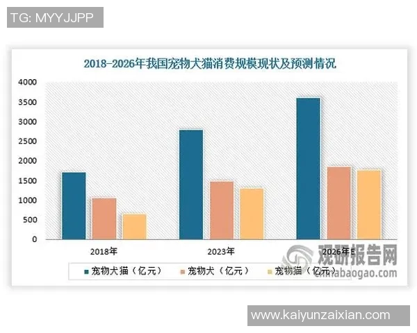 2026年3月份新闻北京羽毛球队运营分析成功经验与面临挑战的深度探讨 2026年3月份新闻北京羽毛球队运营分析成功经验与面临挑战的深度探讨